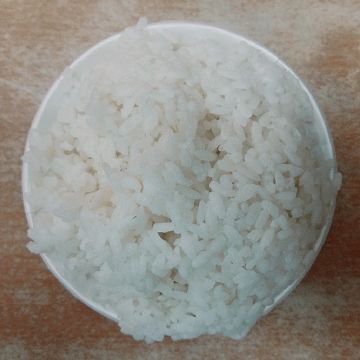 雅廚精緻自助餐