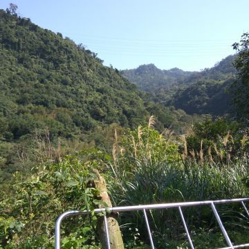 萬家香土雞城