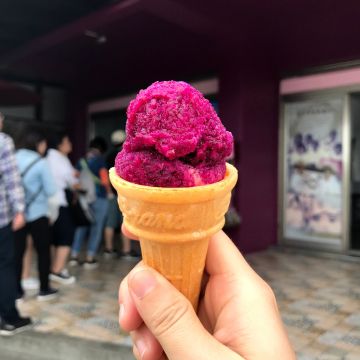 易家仙人掌冰淇淋