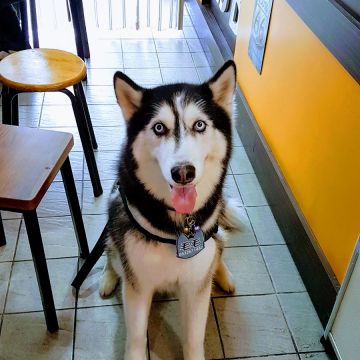 美吉寶（大同店）