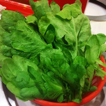 老上海臭臭鍋（橋頭店）