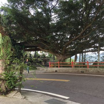 歐堤萌庭園咖啡館