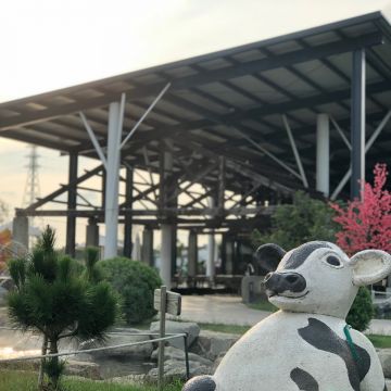 千巧谷牛樂園牧場