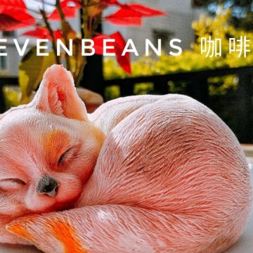 咖啡舍 Syphon Coffee