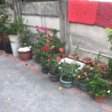 上好牛肉麵蒸餃