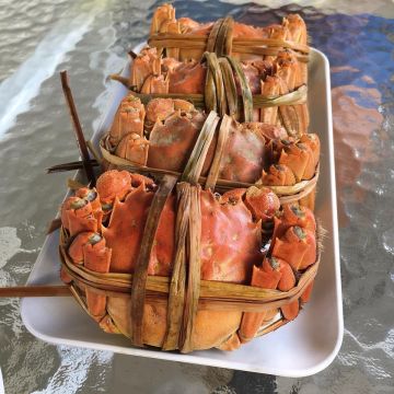 苑裡紅心大閘蟹