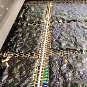 維盛發海苔脆片