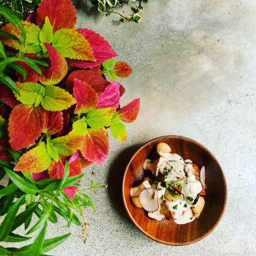 UNCLE Q  創意蔬食餐廳