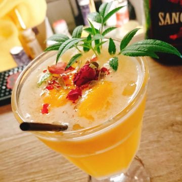 果雅方舟 The Ark