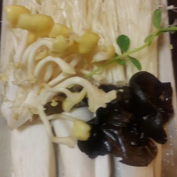 大漠香蒙古養身鍋