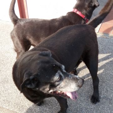 貴子坑鄉村俱樂部