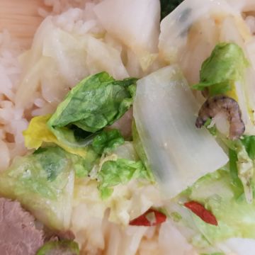 米宝弁当（苓雅店）