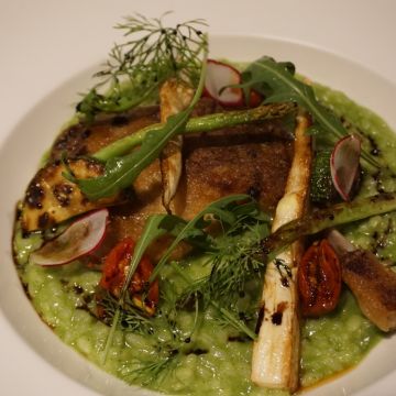 啄木鳥的家 CASA