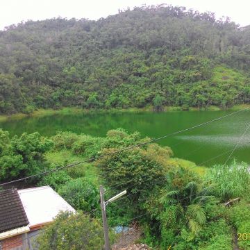 香草菲菲芳香植物博物館