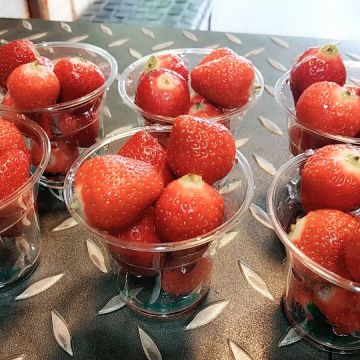 瑪珈豆咖啡 Magado（台北中正店）