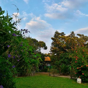 香草精靈休閒農場