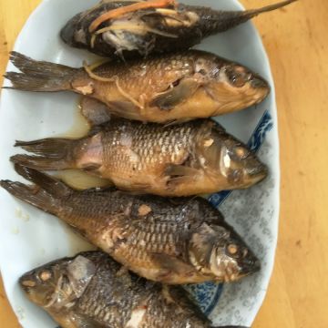 學甲虱目魚粥（台南東區店）