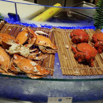 台北諾富特華航桃園機場飯店- 品坊西餐廳 The Square