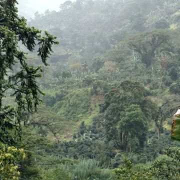 牙買加倉庫 JAMAICA COFFEE