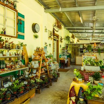 四月樹 April tree