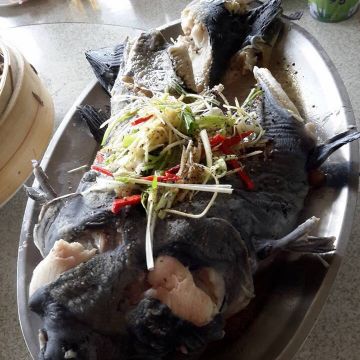 香園林養殖休閒農莊