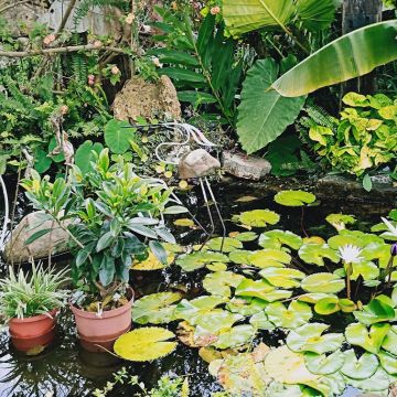 優遊吧斯鄒族文化部落