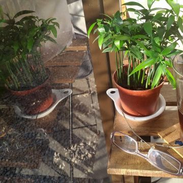 林口55號咖啡 Linkou No.55 Coffee cafe