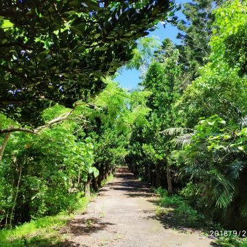 滿茶（新興店）