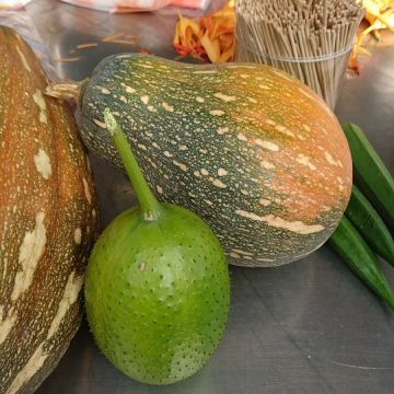 赤柯山小瑞士農場