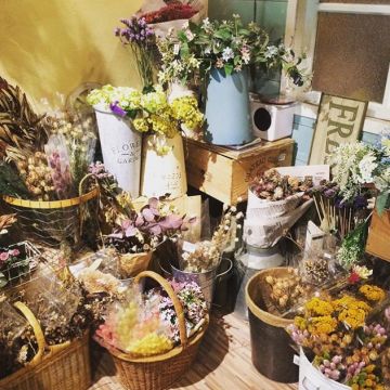 11樓之2的小花園