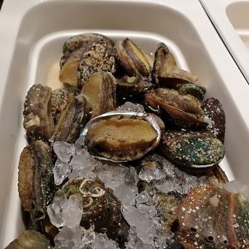 漢來海港自助餐廳 台中店 HARBOUR