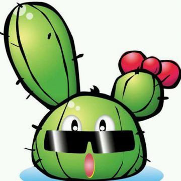 1001願望仙人掌冰