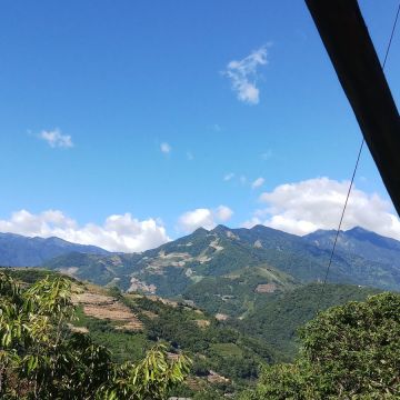 元芳樂堤 YF Love Tea Life