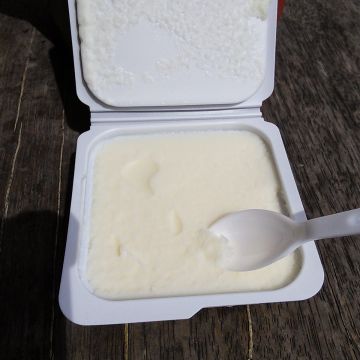 大胖子豆腐冰淇淋