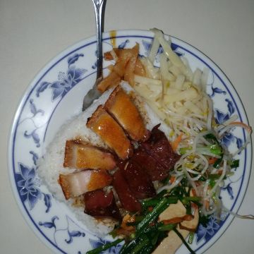 大和港味燒鴨快餐