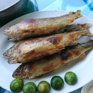 鴛鴦谷休閒農場