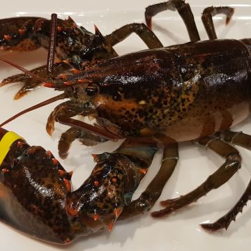 京丸水產居酒屋