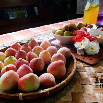 蓋亞那工作坊 Kaiana