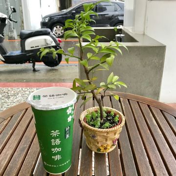 牛乳大王&茶語咖啡