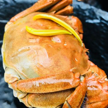 夜上海 Ye Shanghai