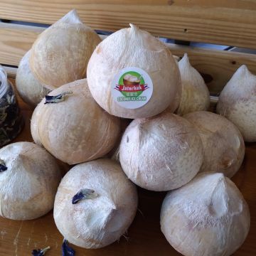 洽圖洽泰式手工冰淇淋