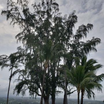 MOKUOLA（台北中正店）