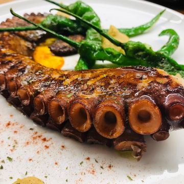 El Marqués Tapas Bar Spanish Restaurant