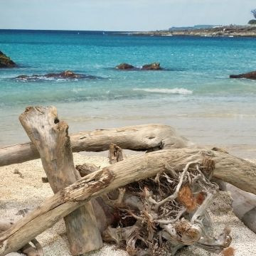 勝博殿 桃園機場Express店(第二航廈)