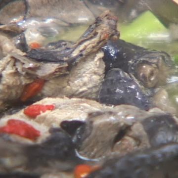 佳暹清燉蔬菜羊肉爐