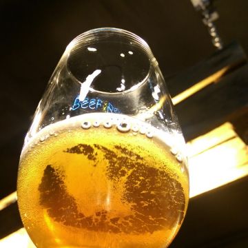 Beer & Deer 啤魯麋鹿