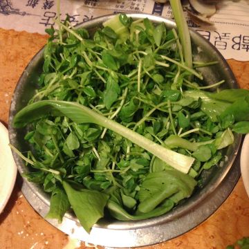 錢都日式迷你涮涮鍋