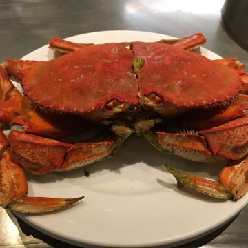 尚品時尚鐵板燒