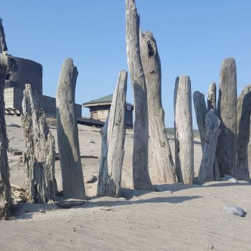 莎蜜拉海岸咖啡坊