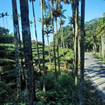 華山御園休閒廣場